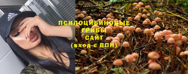jwh Осинники