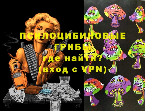 гидропоника Нязепетровск