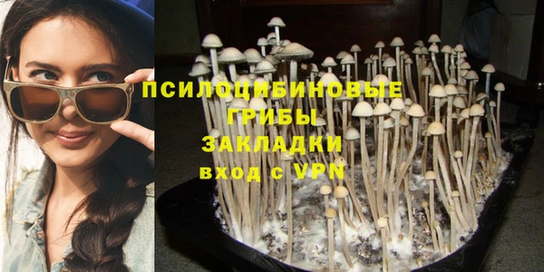 стафф Верея