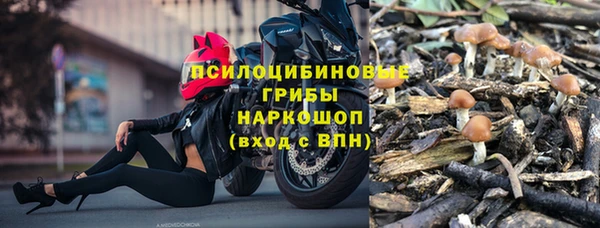 jwh Осинники