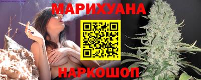 mdpv Заводоуковск
